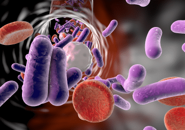 Identifying Sepsis in the Prehospital Setting